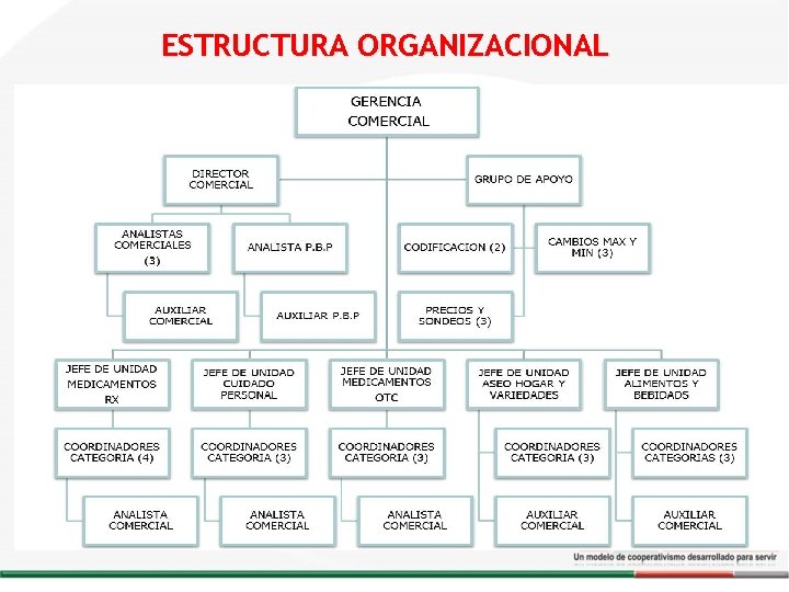ESTRUCTURA ORGANIZACIONAL Organigrama Gerencia Comercial ESTRUCTURA ORGANIZACIONAL Organigrama Gerencia Comercial