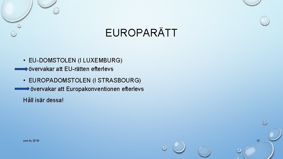 EUROPARÄTT • EU-DOMSTOLEN (I LUXEMBURG) övervakar att EU-rätten efterlevs • EUROPADOMSTOLEN (I STRASBOURG) övervakar