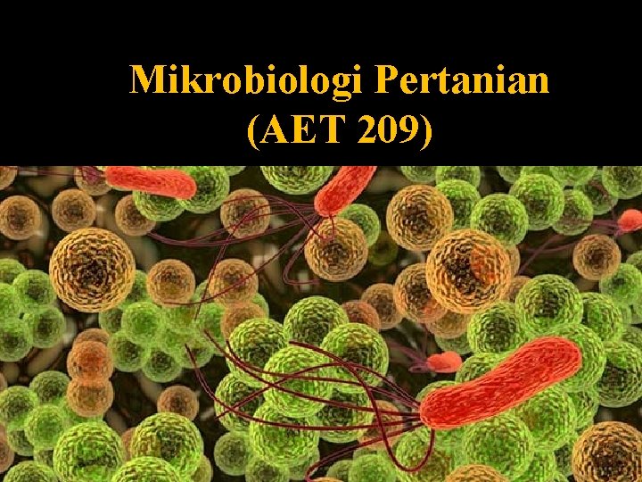 Mikrobiologi Pertanian (AET 209) 
