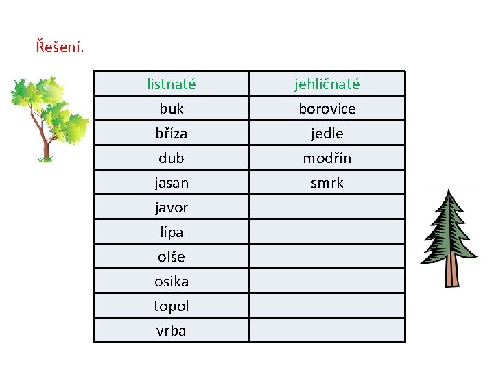 Řešení. listnaté buk bříza dub jehličnaté borovice jedle modřín jasan javor lípa olše osika