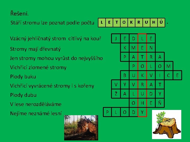 Řešení. Stáří stromu lze poznat podle počtu L E T O K R U
