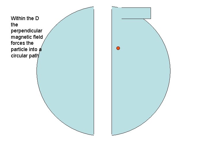 Within the D the perpendicular magnetic field forces the particle into a circular path