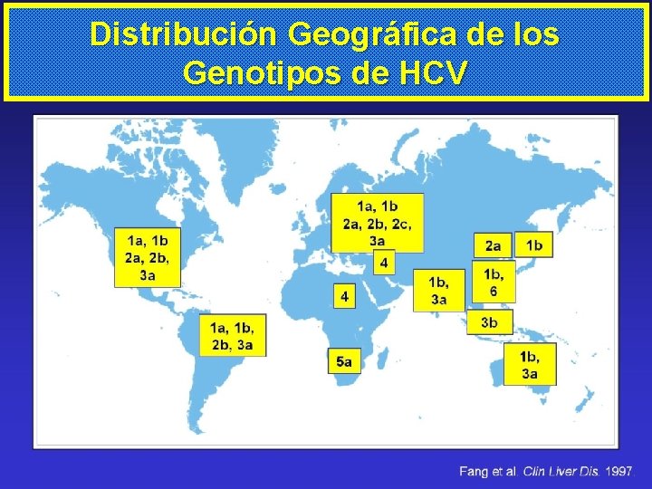 Distribución Geográfica de los Genotipos de HCV 