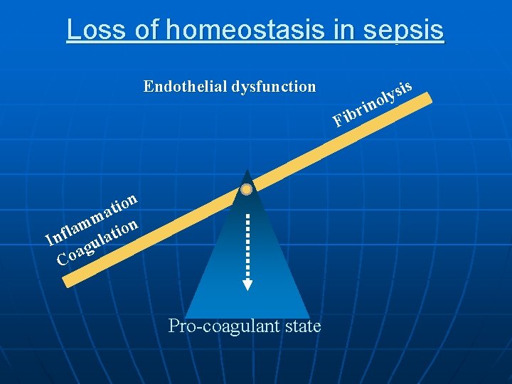 Loss of homeostasis in sepsis s Endothelial dysfunction i r b Fi n on