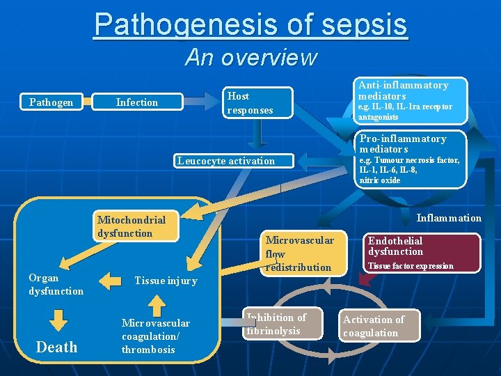 Pathogenesis of sepsis An overview Pathogen Host responses Infection Leucocyte activation Mitochondrial dysfunction Organ