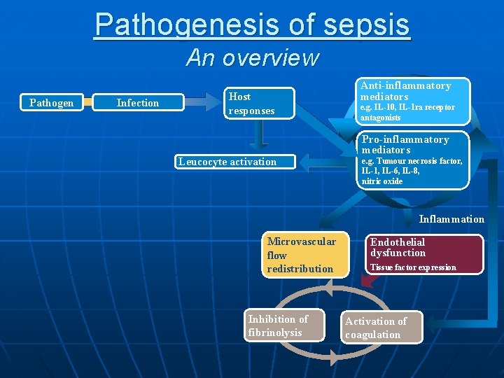 Pathogenesis of sepsis An overview Pathogen Infection Host responses Leucocyte activation Anti-inflammatory mediators e.