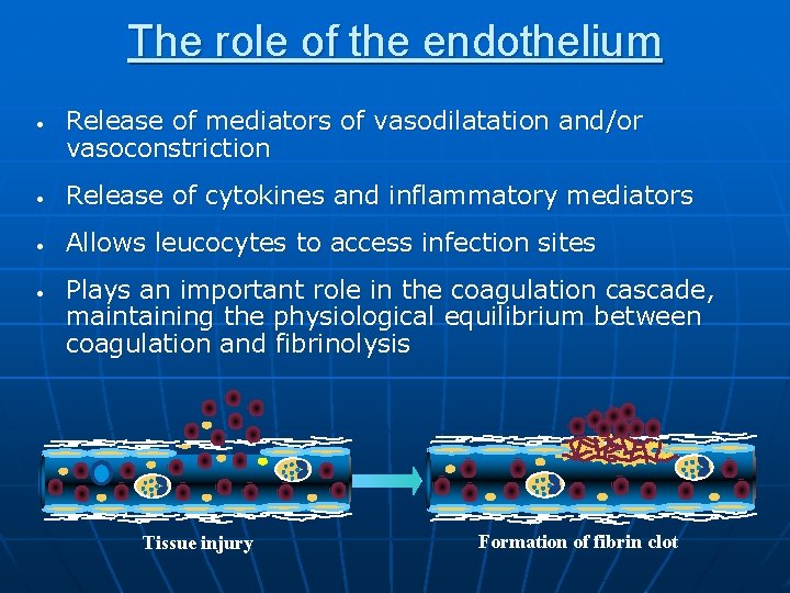 The role of the endothelium • Release of mediators of vasodilatation and/or vasoconstriction •