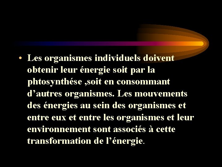 • Les organismes individuels doivent obtenir leur énergie soit par la phtosynthése , • Les organismes individuels doivent obtenir leur énergie soit par la phtosynthése ,