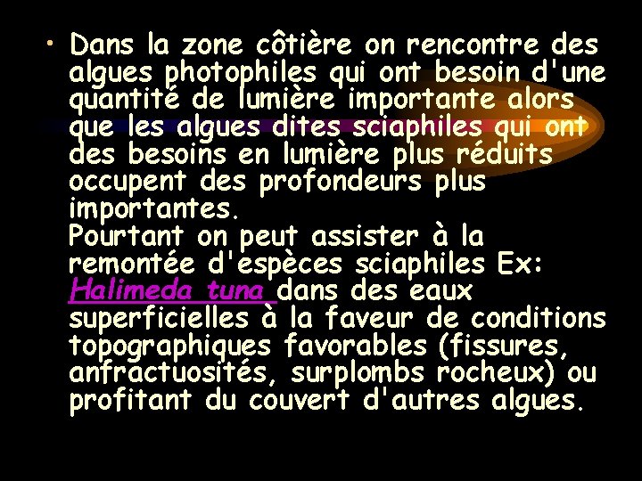 • Dans la zone côtière on rencontre des algues photophiles qui ont besoin • Dans la zone côtière on rencontre des algues photophiles qui ont besoin