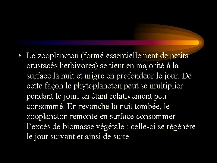 • Le zooplancton (formé essentiellement de petits crustacés herbivores) se tient en majorité • Le zooplancton (formé essentiellement de petits crustacés herbivores) se tient en majorité