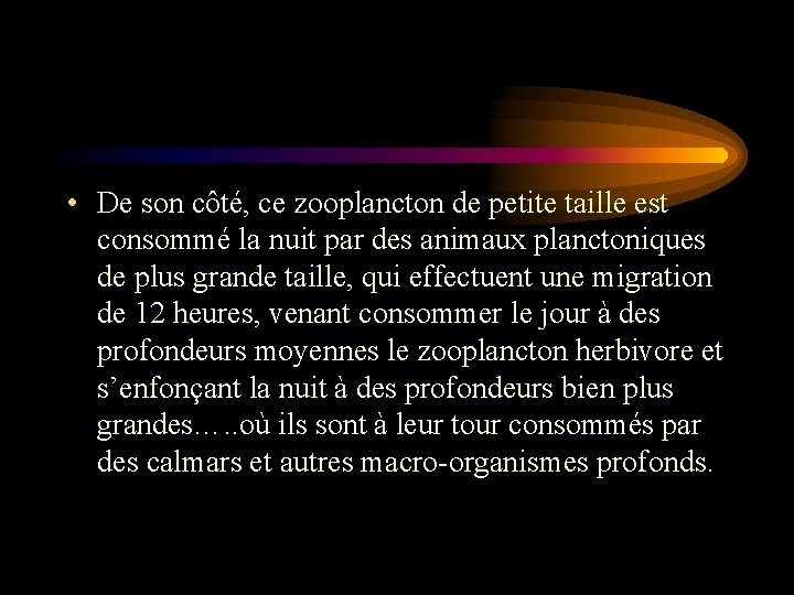 • De son côté, ce zooplancton de petite taille est consommé la nuit • De son côté, ce zooplancton de petite taille est consommé la nuit