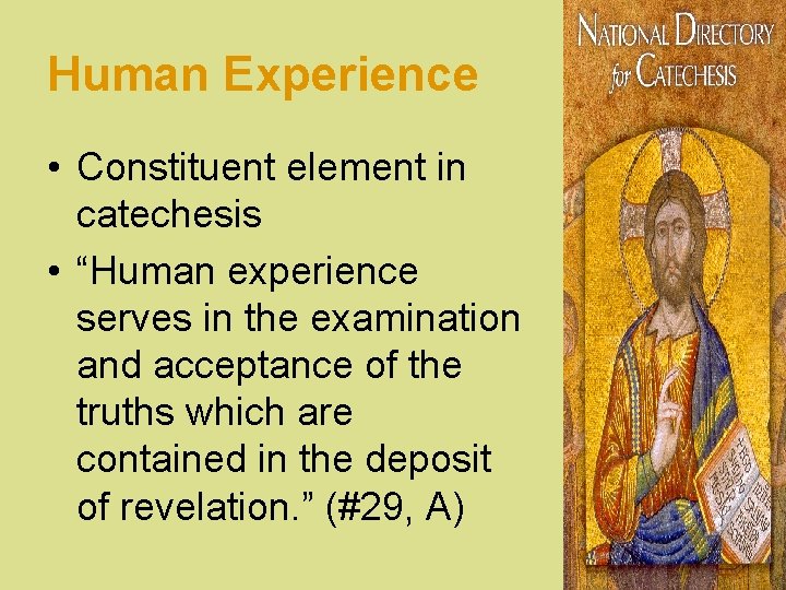 Human Experience • Constituent element in catechesis • “Human experience serves in the examination