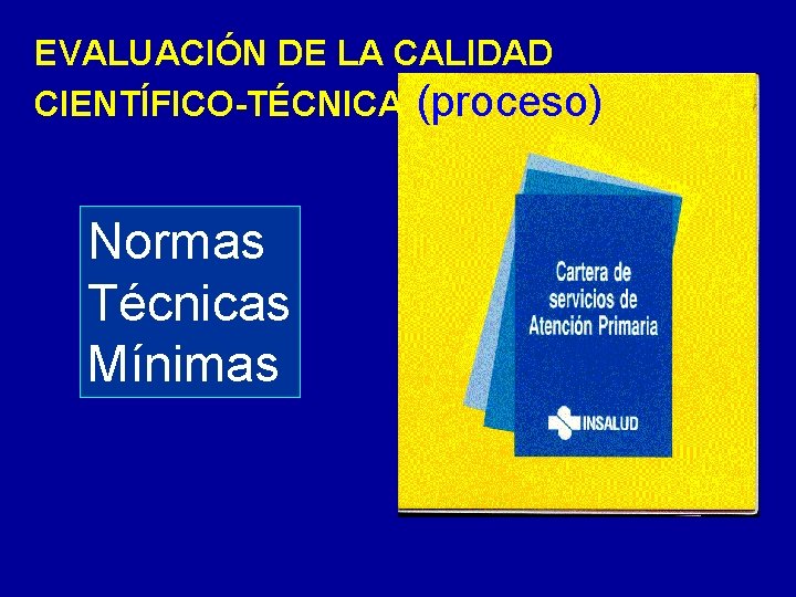 EVALUACIÓN DE LA CALIDAD CIENTÍFICO-TÉCNICA (proceso) Normas Técnicas Mínimas 