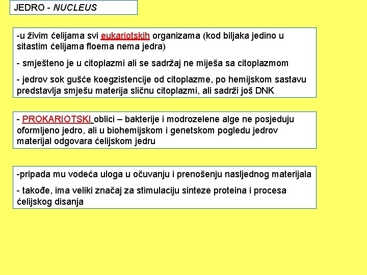 JEDRO - NUCLEUS -u živim ćelijama svi eukariotskih organizama (kod biljaka jedino u sitastim