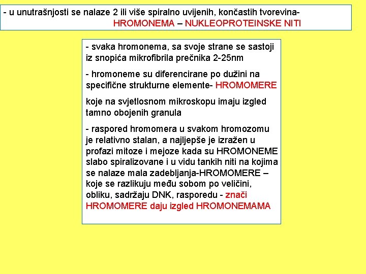 - u unutrašnjosti se nalaze 2 ili više spiralno uvijenih, končastih tvorevina. HROMONEMA –