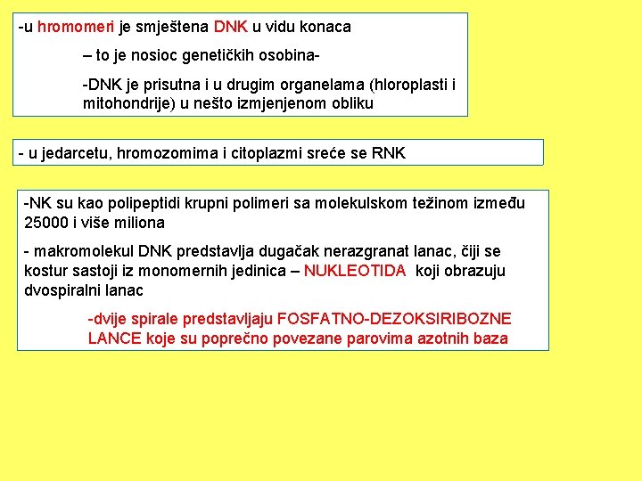 -u hromomeri je smještena DNK u vidu konaca – to je nosioc genetičkih osobina-