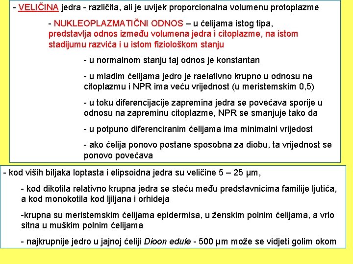 - VELIČINA jedra - različita, ali je uvijek proporcionalna volumenu protoplazme - NUKLEOPLAZMATIČNI ODNOS