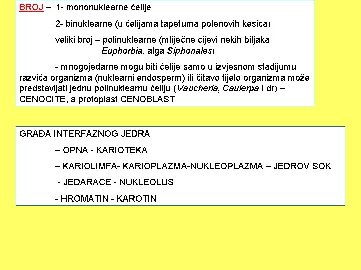 BROJ – 1 - mononuklearne ćelije 2 - binuklearne (u ćelijama tapetuma polenovih kesica)