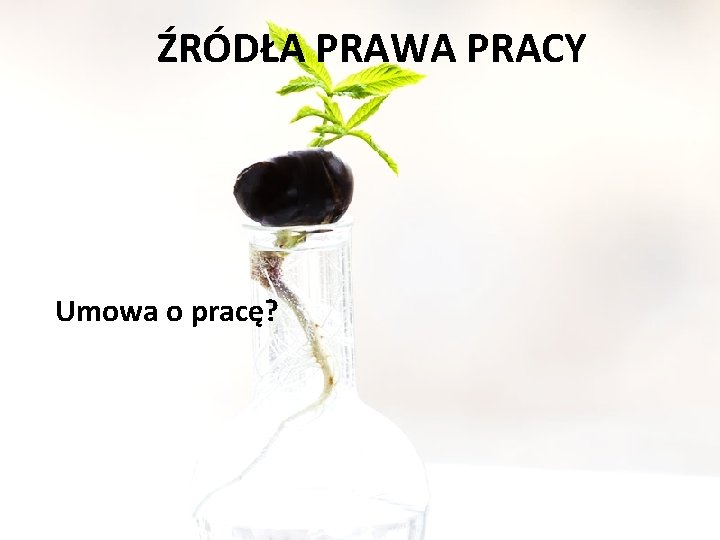 ŹRÓDŁA PRAWA PRACY Umowa o pracę? 