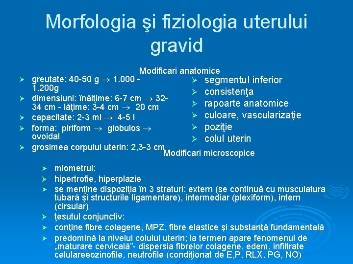 Morfologia şi fiziologia uterului gravid Ø Ø Ø Modificari anatomice greutate: 40 -50 g