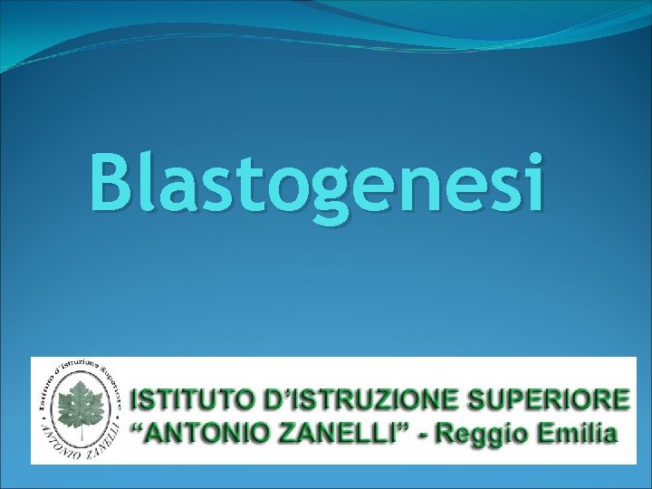 Blastogenesi 