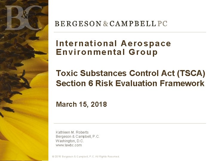 International Aerospace Environmental Group Toxic Substances Control Act (TSCA) Section 6 Risk Evaluation Framework