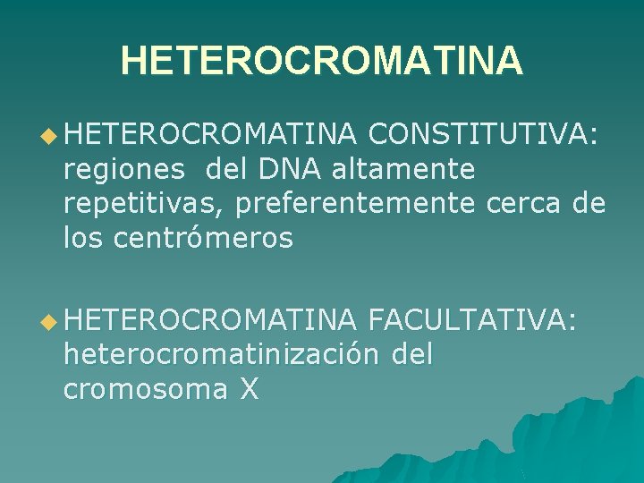 HETEROCROMATINA u HETEROCROMATINA CONSTITUTIVA: regiones del DNA altamente repetitivas, preferentemente cerca de los centrómeros
