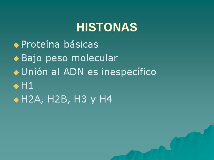 HISTONAS u Proteína básicas u Bajo peso molecular u Unión al ADN es inespecífico