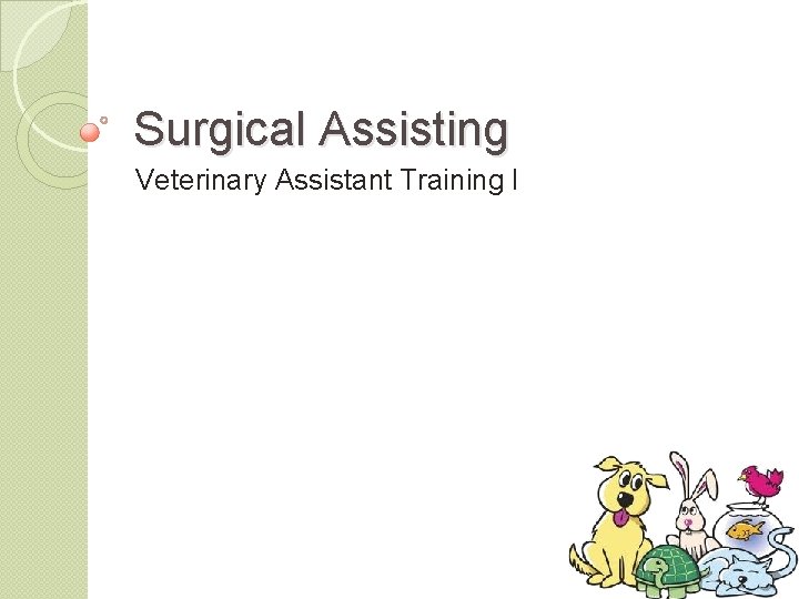 Surgical Assisting Veterinary Assistant Training I 