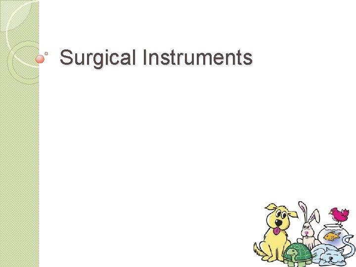 Surgical Instruments 