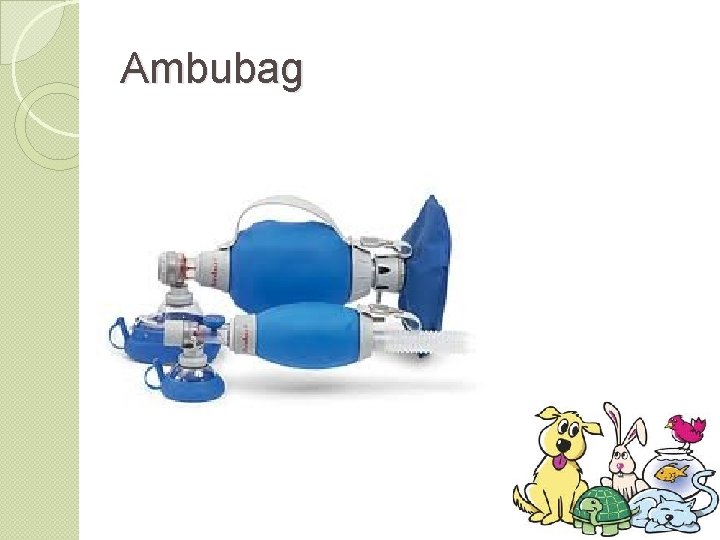 Ambubag 