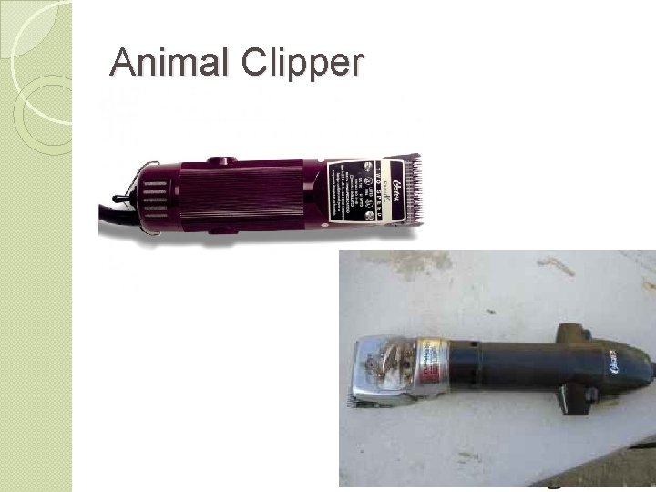 Animal Clipper 