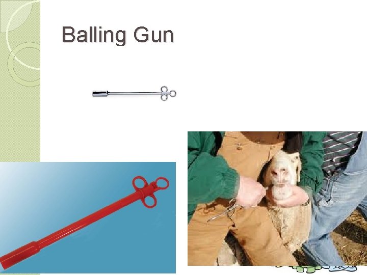 Balling Gun 