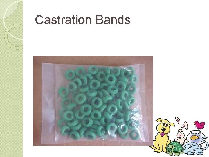 Castration Bands 