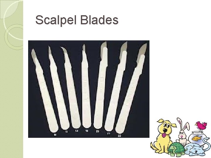 Scalpel Blades 