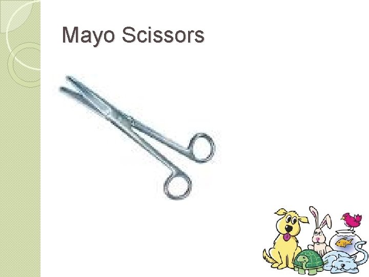 Mayo Scissors 