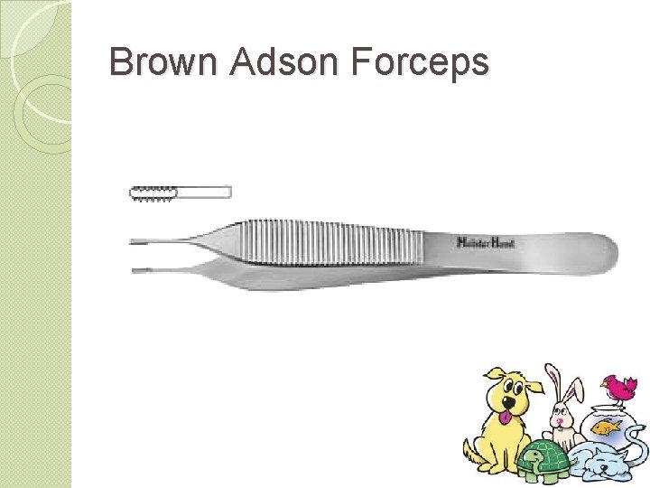 Brown Adson Forceps 