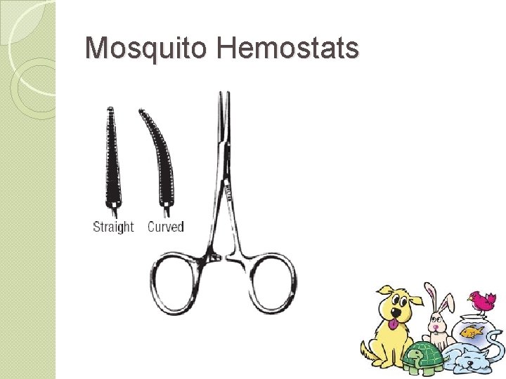 Mosquito Hemostats 
