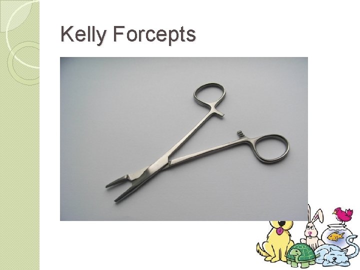 Kelly Forcepts 