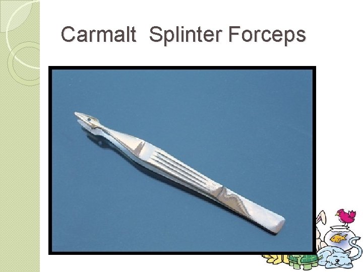 Carmalt Splinter Forceps 