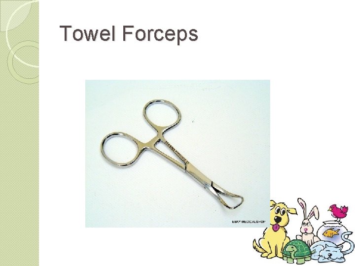 Towel Forceps 