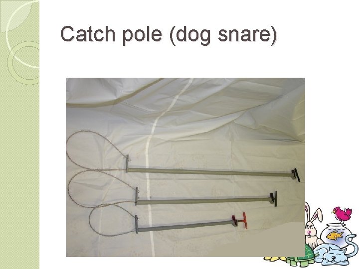 Catch pole (dog snare) 