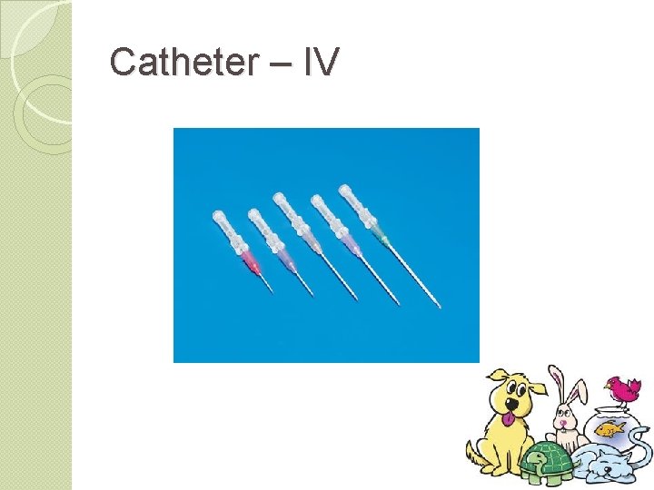 Catheter – IV 