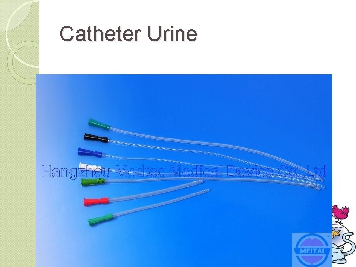 Catheter Urine 