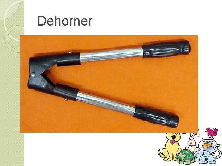 Dehorner 
