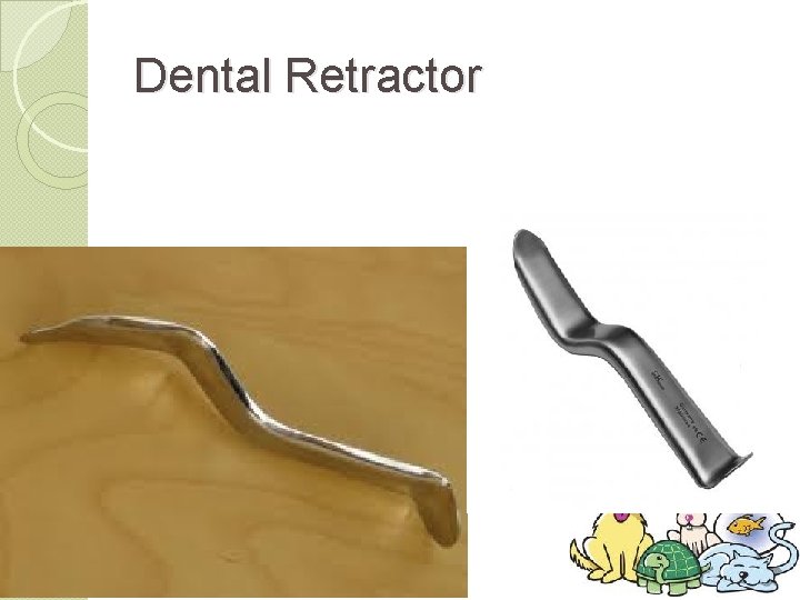 Dental Retractor 