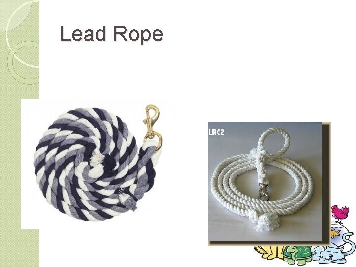 Lead Rope 