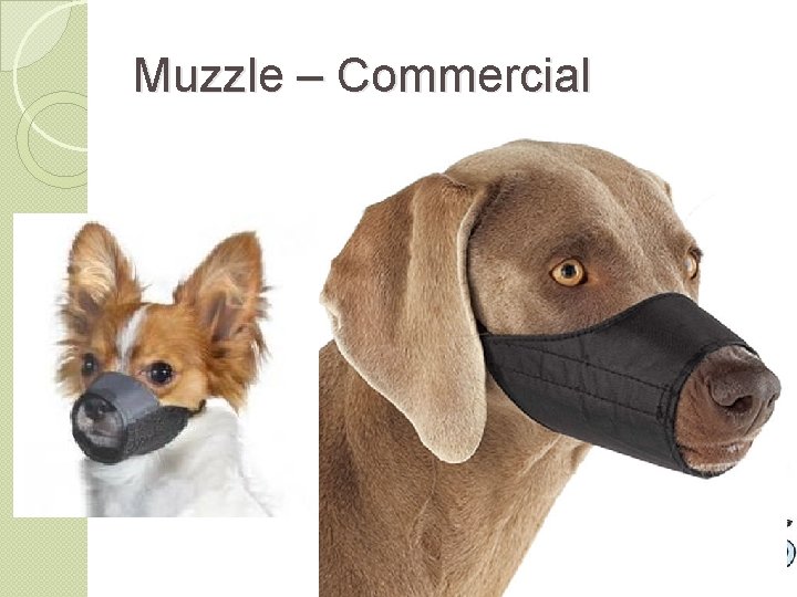 Muzzle – Commercial 