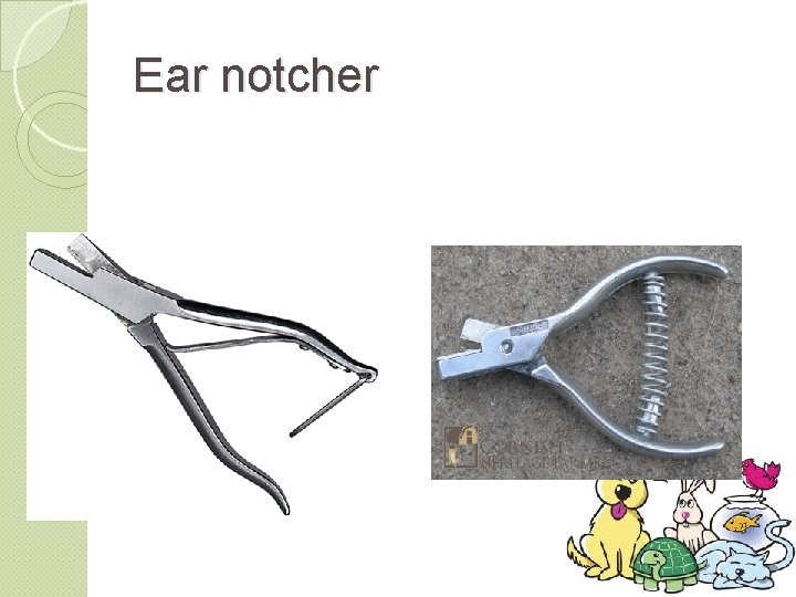 Ear notcher 