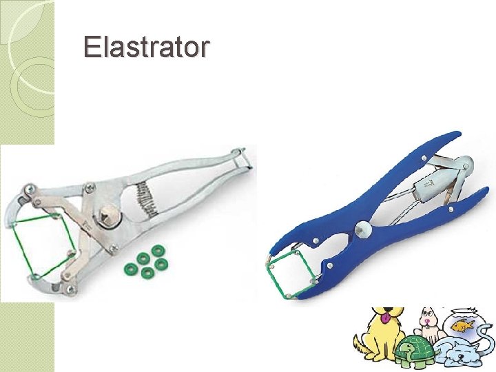 Elastrator 